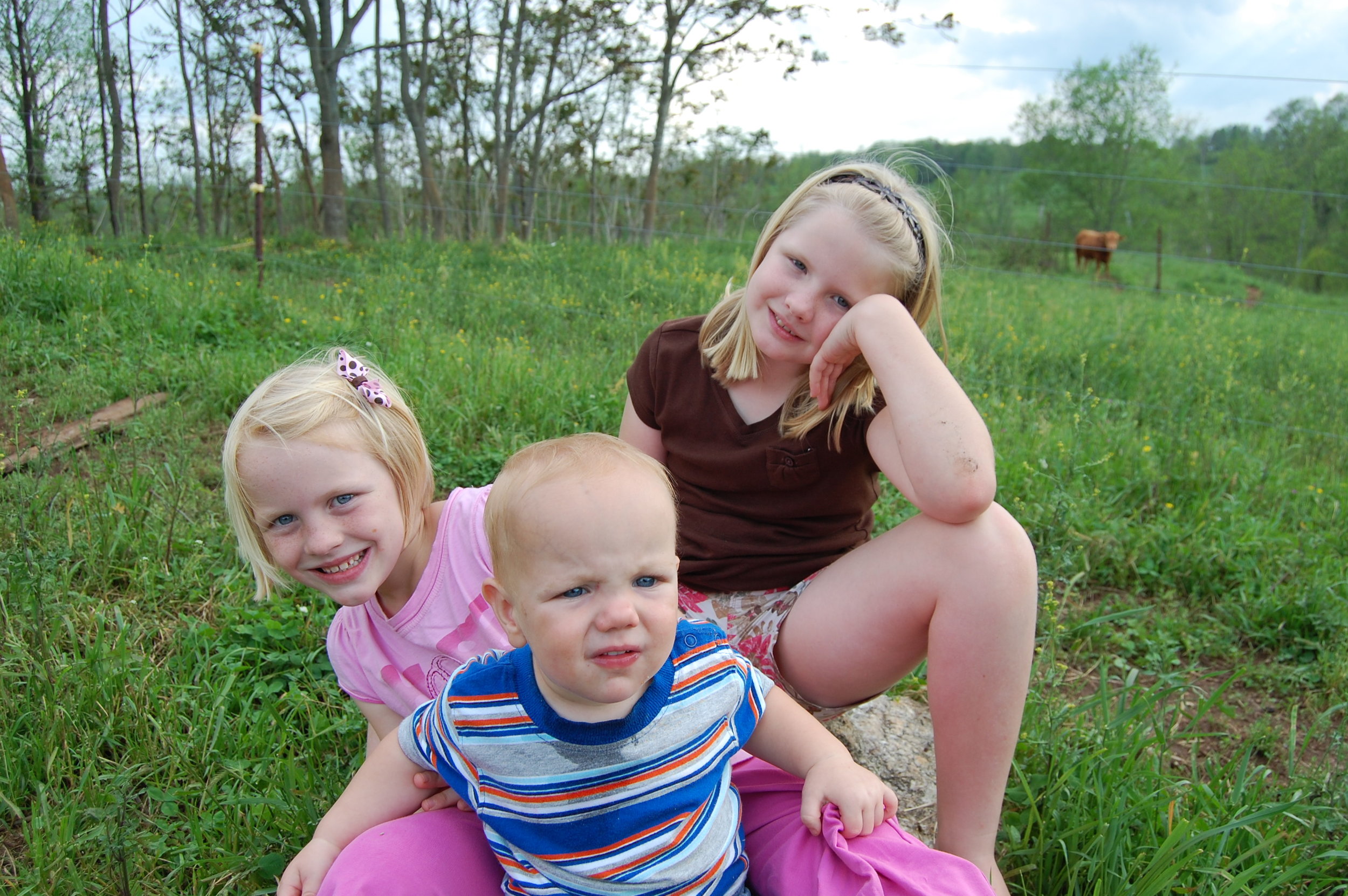 DSC_0372 Three children sitting on a grassy area, smiling and playing outdoors. The scene features two girls, one wearing a pink shirt with a bow in her hair and the other in a brown top, along with a boy in a striped shirt. The background includes trees and a cow in a field, capturing a playful, rural atmosphere.