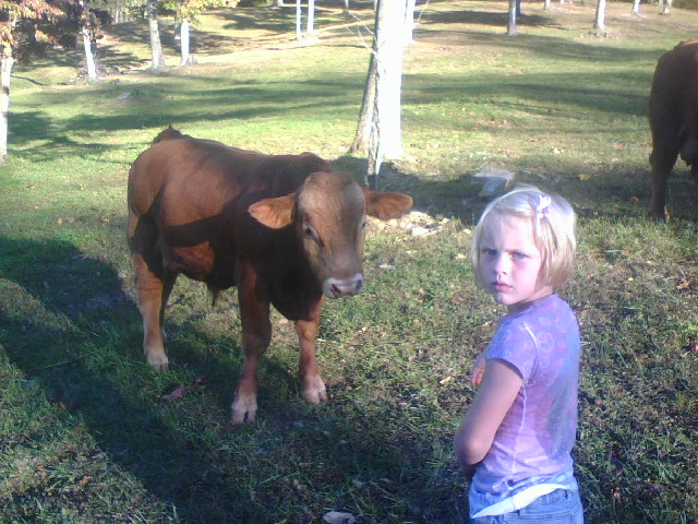 Young girl standing next to a brown calf in a grassy field, surrounded by trees in a rural setting. The girl appears curious, looking at the camera while the calf looks towards her.