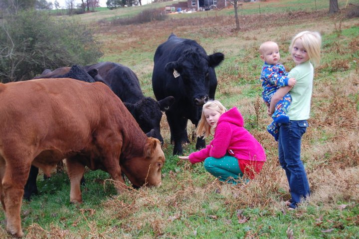 kids_cattle Two children interacting with cows on a farm, with one child kneeling beside a brown calf and the other holding a baby in a colorful outfit. The scene captures a rural setting with green grass and trees in the background, showcasing a connection to agriculture and farm life.